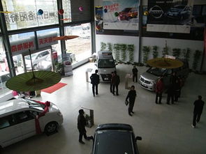 鄭州日產洛陽奇威 十月帥客專場團購會圓滿成功