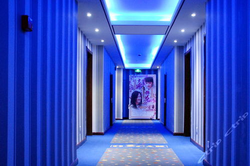 鄭州星光雅達(dá)電影主題酒店 圓床房 團(tuán)購(gòu)僅售158元,鄭州酒店團(tuán)購(gòu)