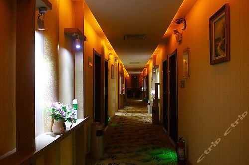 鄭州臥龍網絡賓館豪華標準間團購優惠，僅118元享舒適住宿