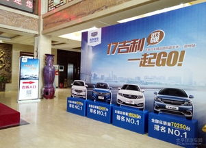 17吉利 一起go 吉利汽車嘉年華鄭州站圓滿落幕
